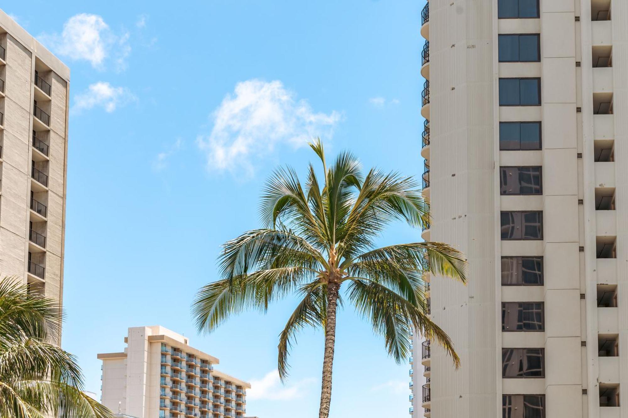 檀香山Beautiful Ocean And Diamond Head Views With Parking公寓 外观 照片