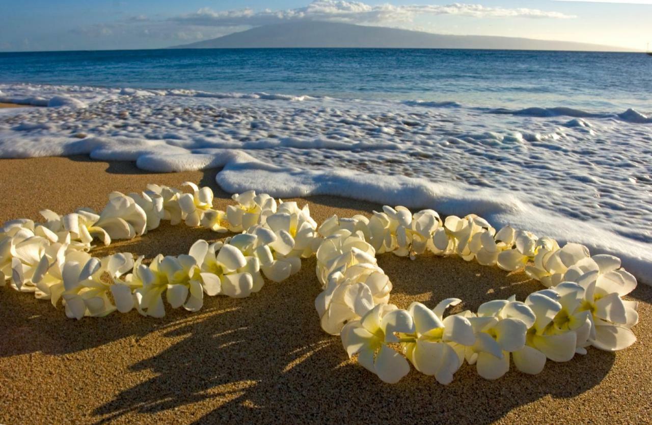 檀香山Beautiful Ocean And Diamond Head Views With Parking公寓 外观 照片